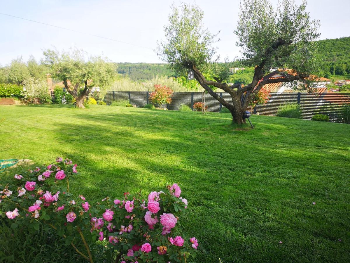 New Istrian Experience By Istrian Apartments Koper Exteriör bild